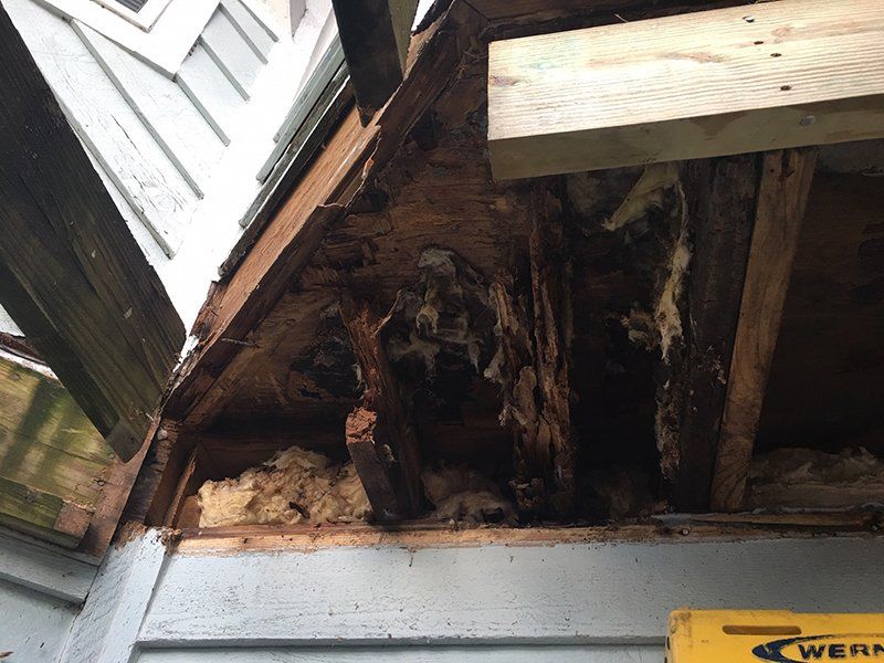 exterior ceiling rot
