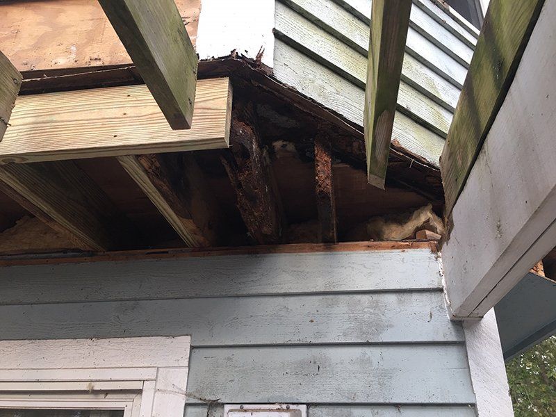 sistering joists rot