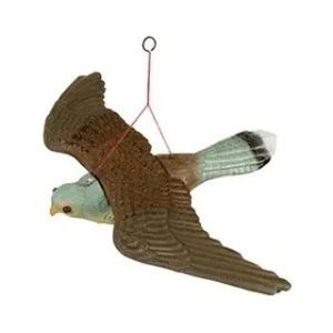 Dissuasori per animali e insetticidi per la casa