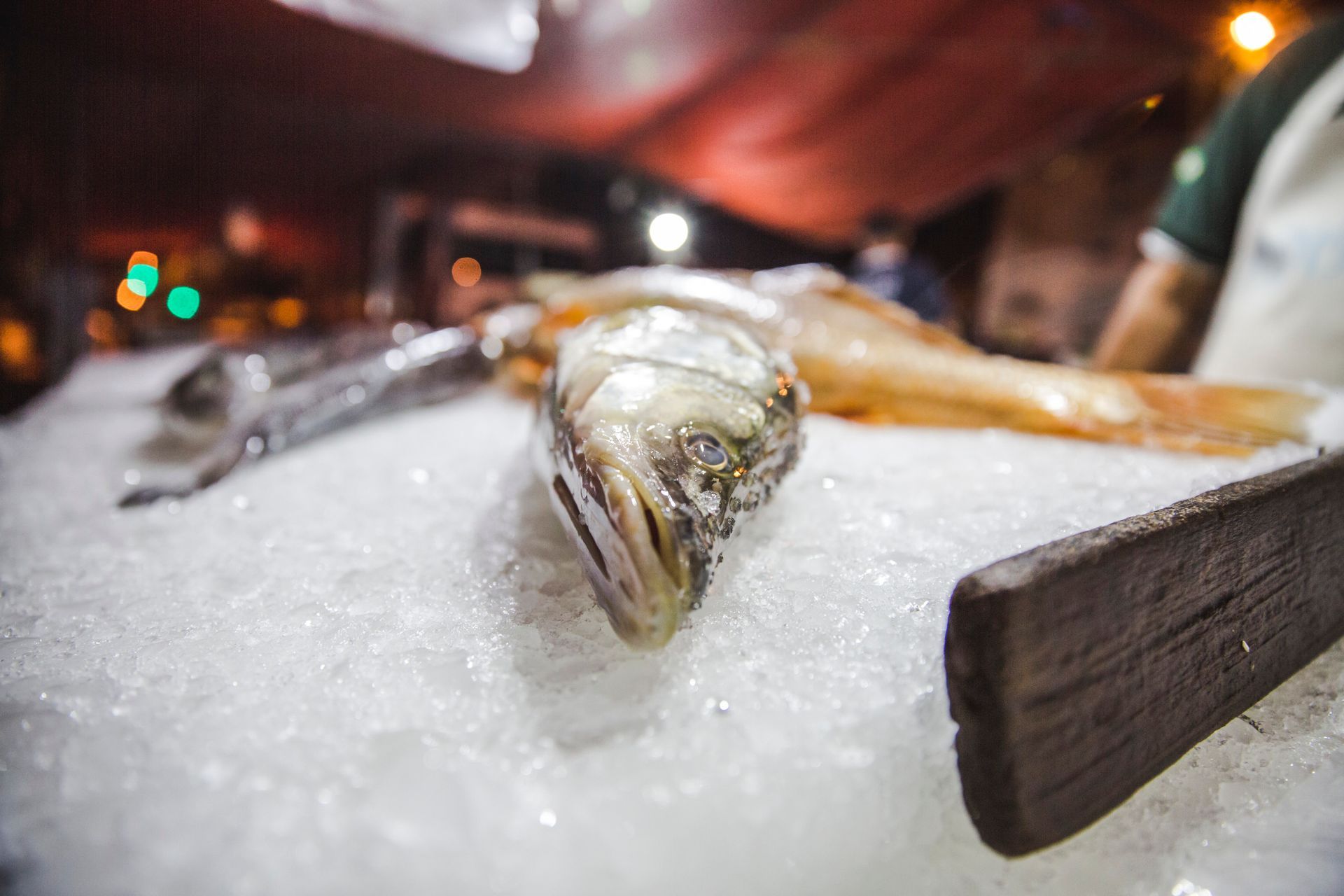 Fotografia autoral de feira livre em São Paulo — montagem barraca de peixe