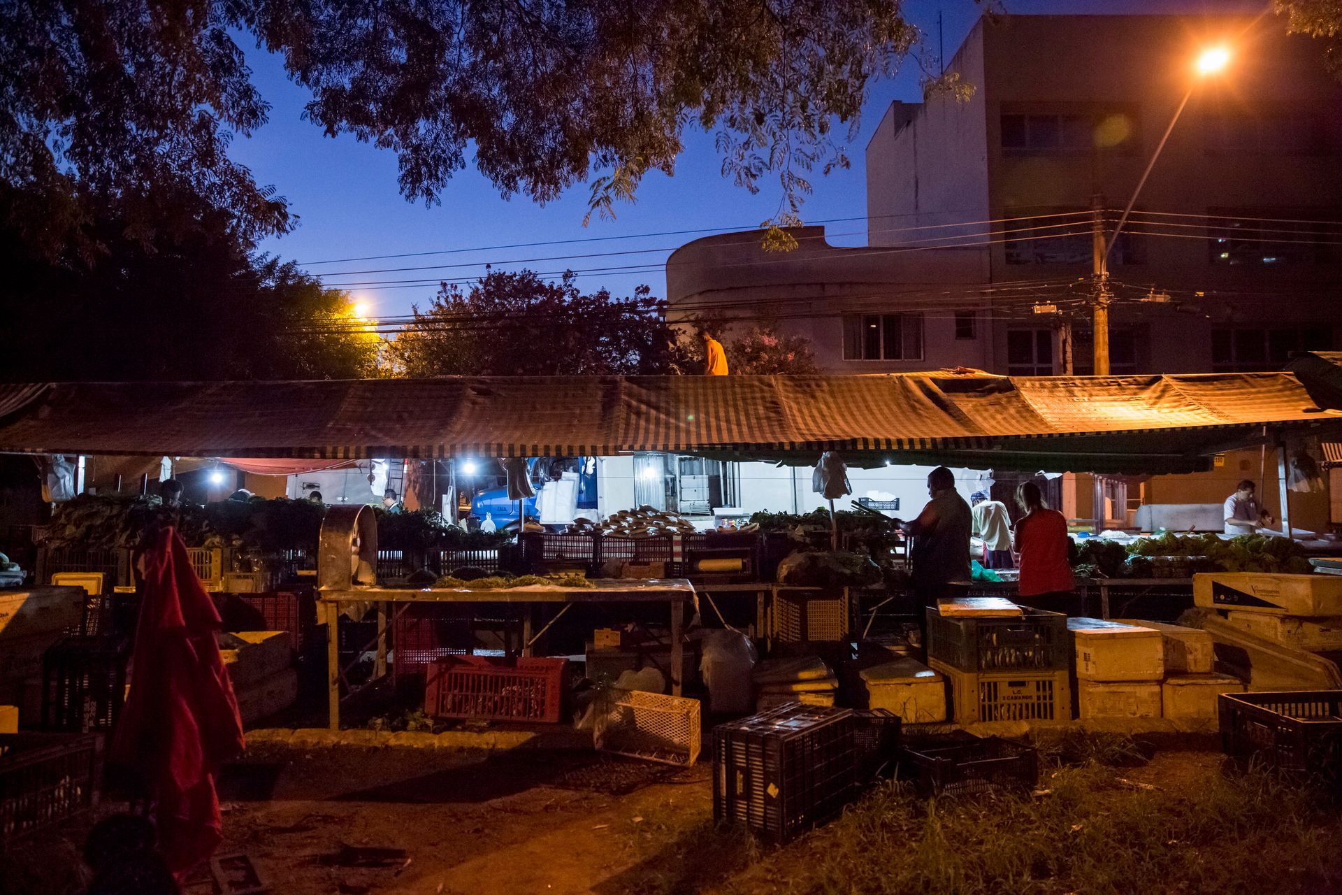 Fotografia autoral de feira livre em São Paulo — montagem 