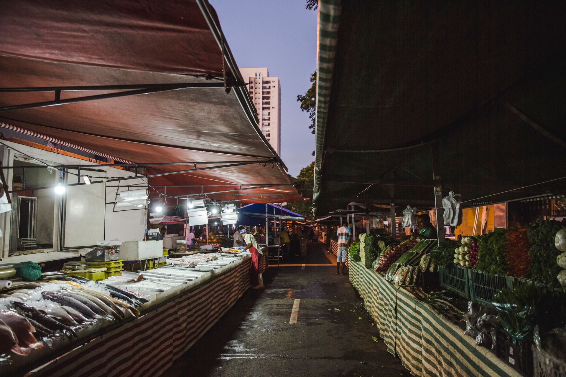 Fotografia autoral de feira livre em São Paulo — montagem 