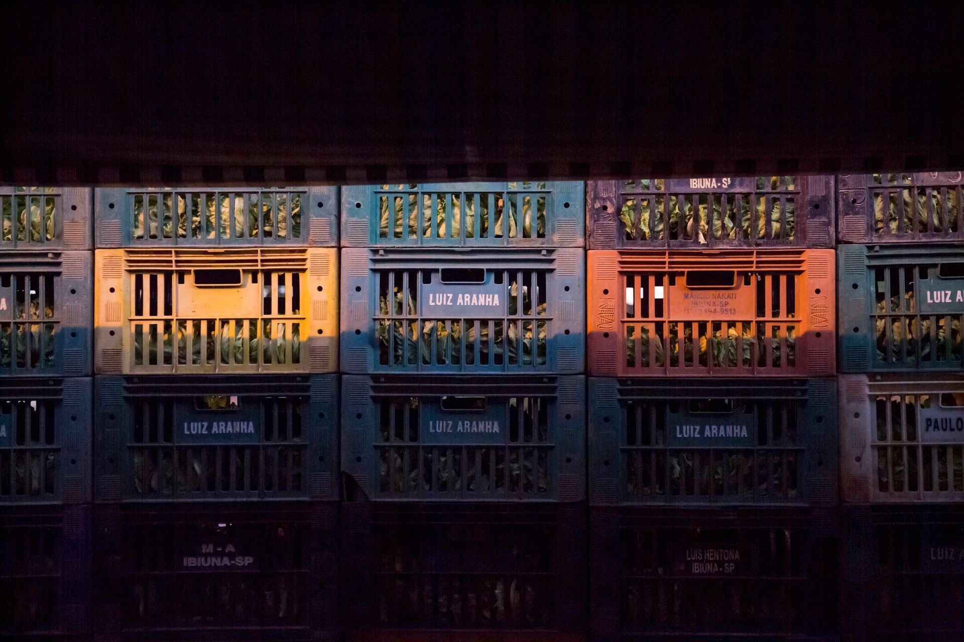 Fotografia autoral de feira livre em São Paulo — detalhe de caixotes
