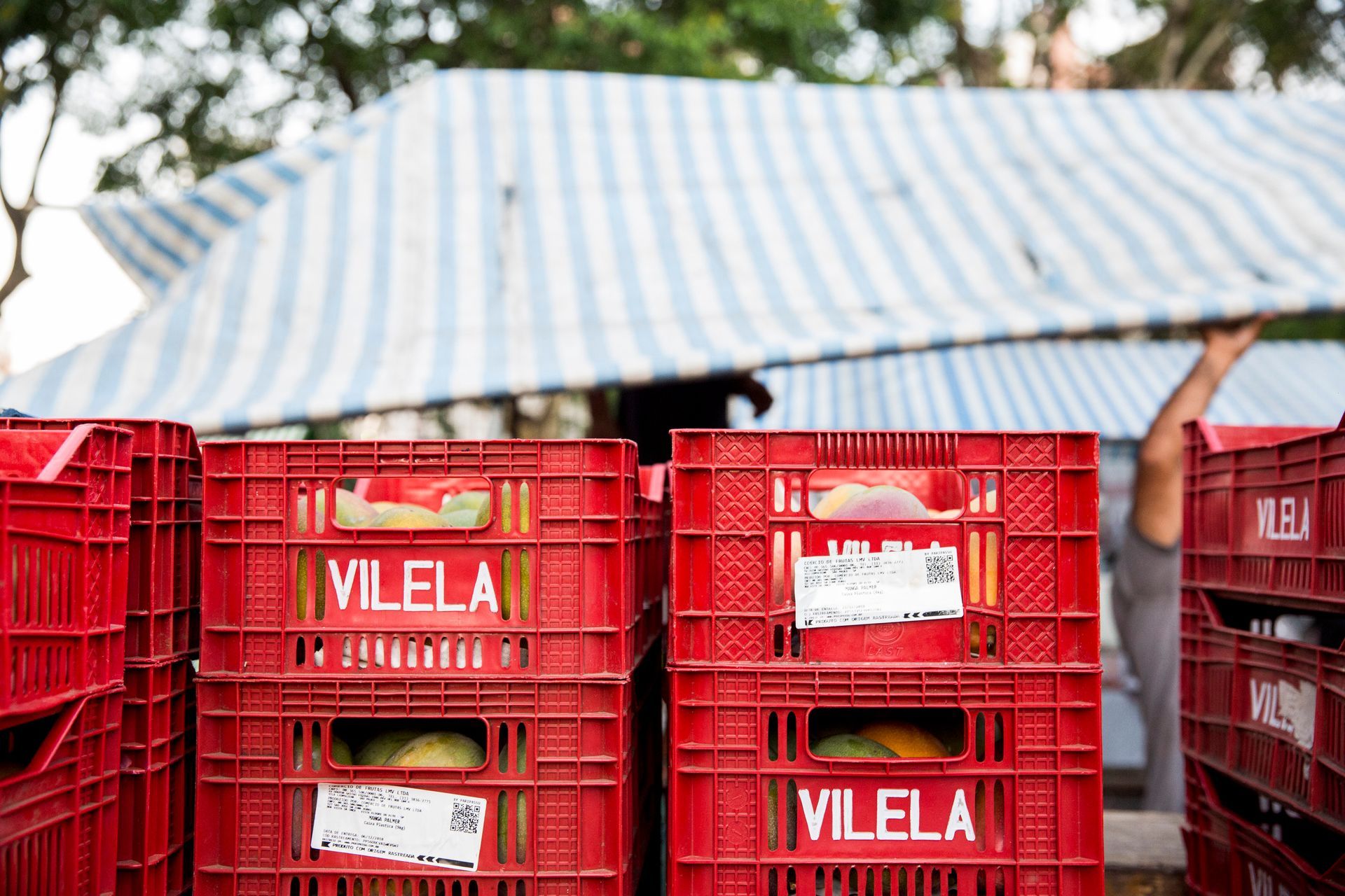 Fotografia autoral de feira livre em São Paulo — detalhe de barraca e caixote