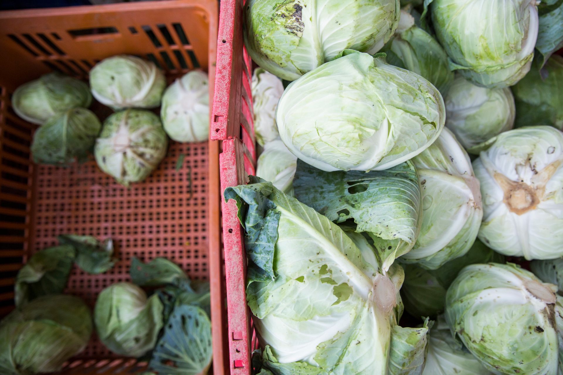 Fotografia autoral de feira livre em São Paulo — detalhe de caixotes