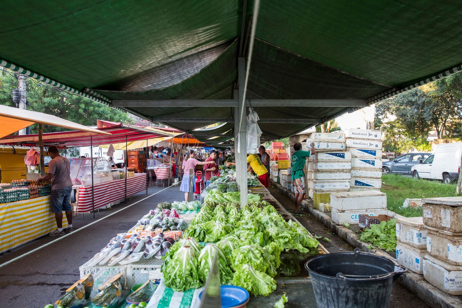 Fotografia autoral de feira livre em São Paulo — detalhe de barraca