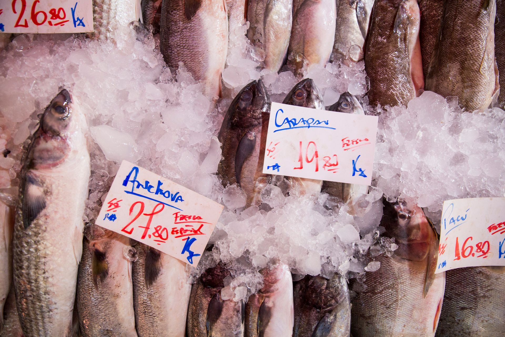 Fotografia autoral de feira livre em São Paulo — detalhe de barraca de peixes