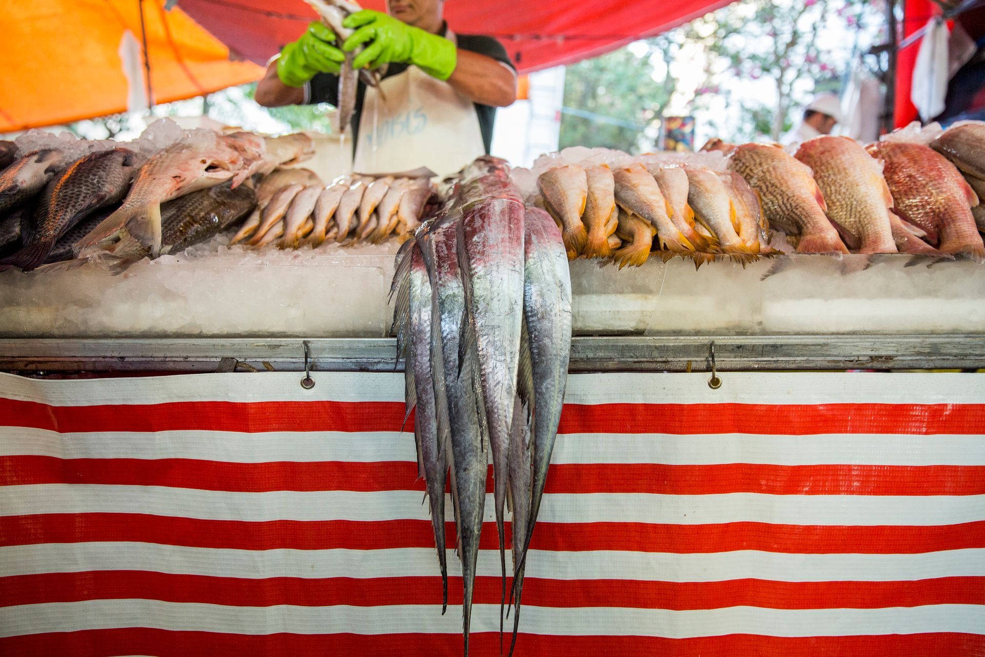 Fotografia autoral de feira livre em São Paulo — detalhe de barraca de peixes