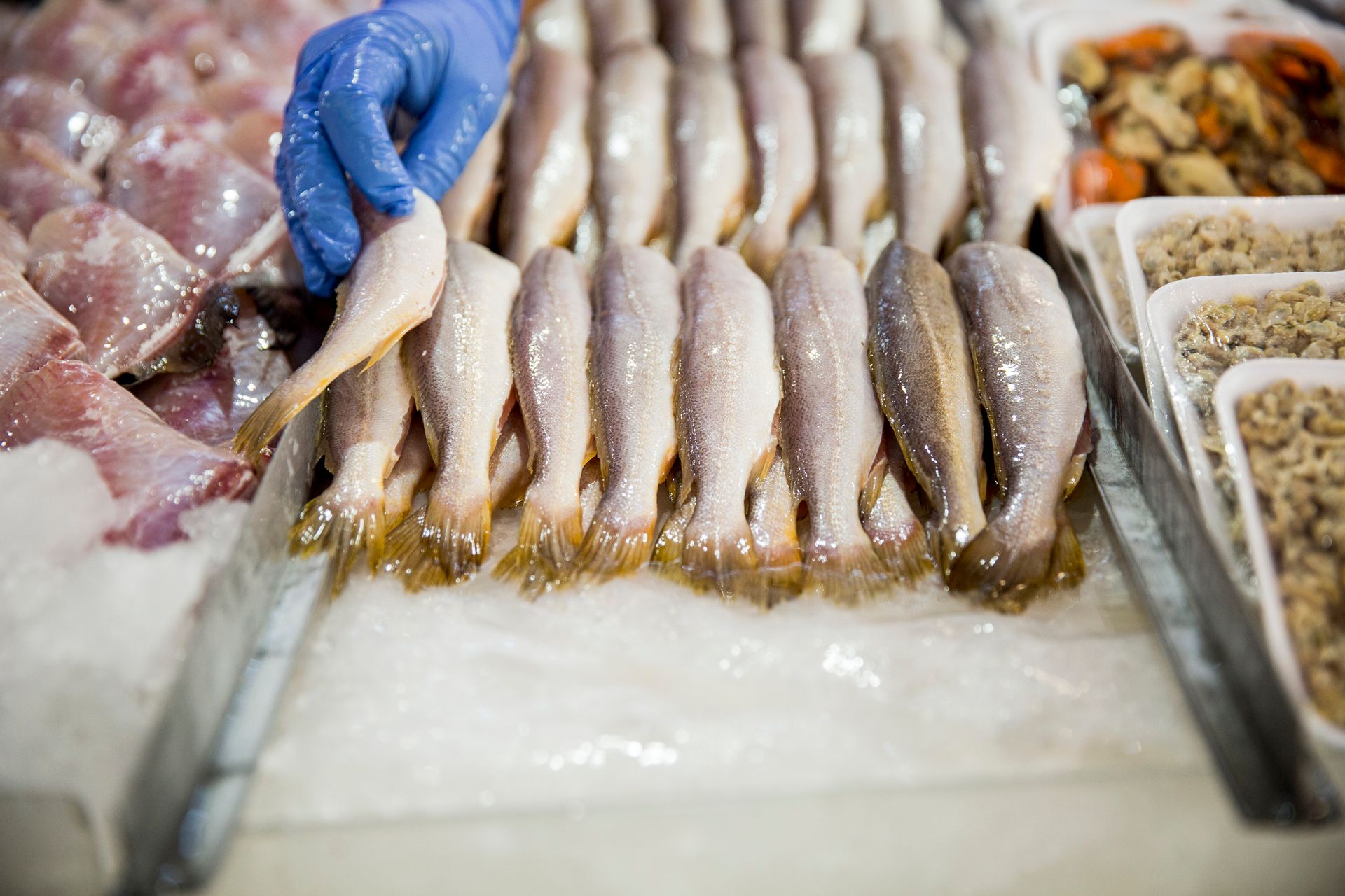 Fotografia autoral de feira livre em São Paulo — detalhe de barraca de peixes