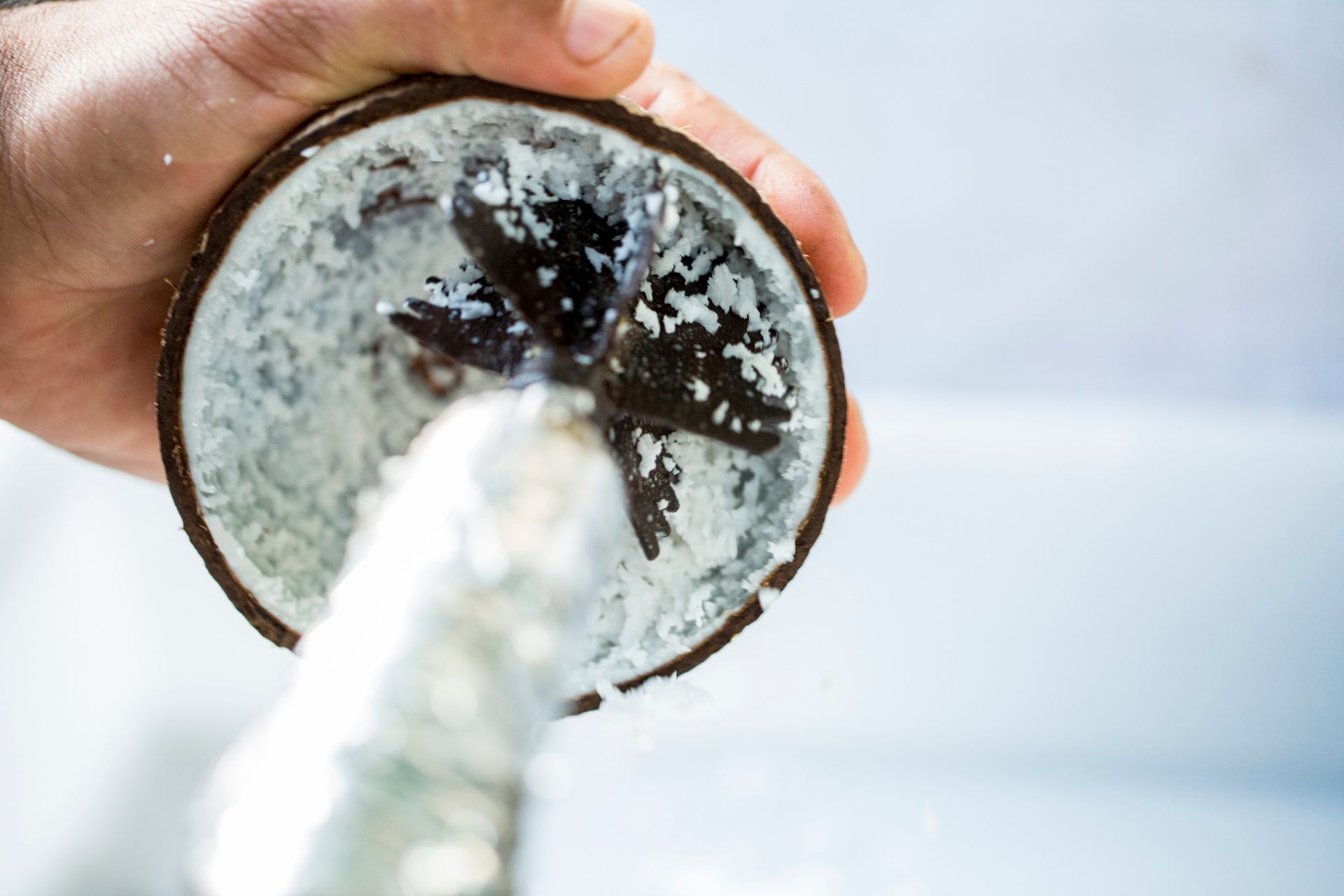 Fotografia autoral de feira livre em São Paulo — detalhe de coco