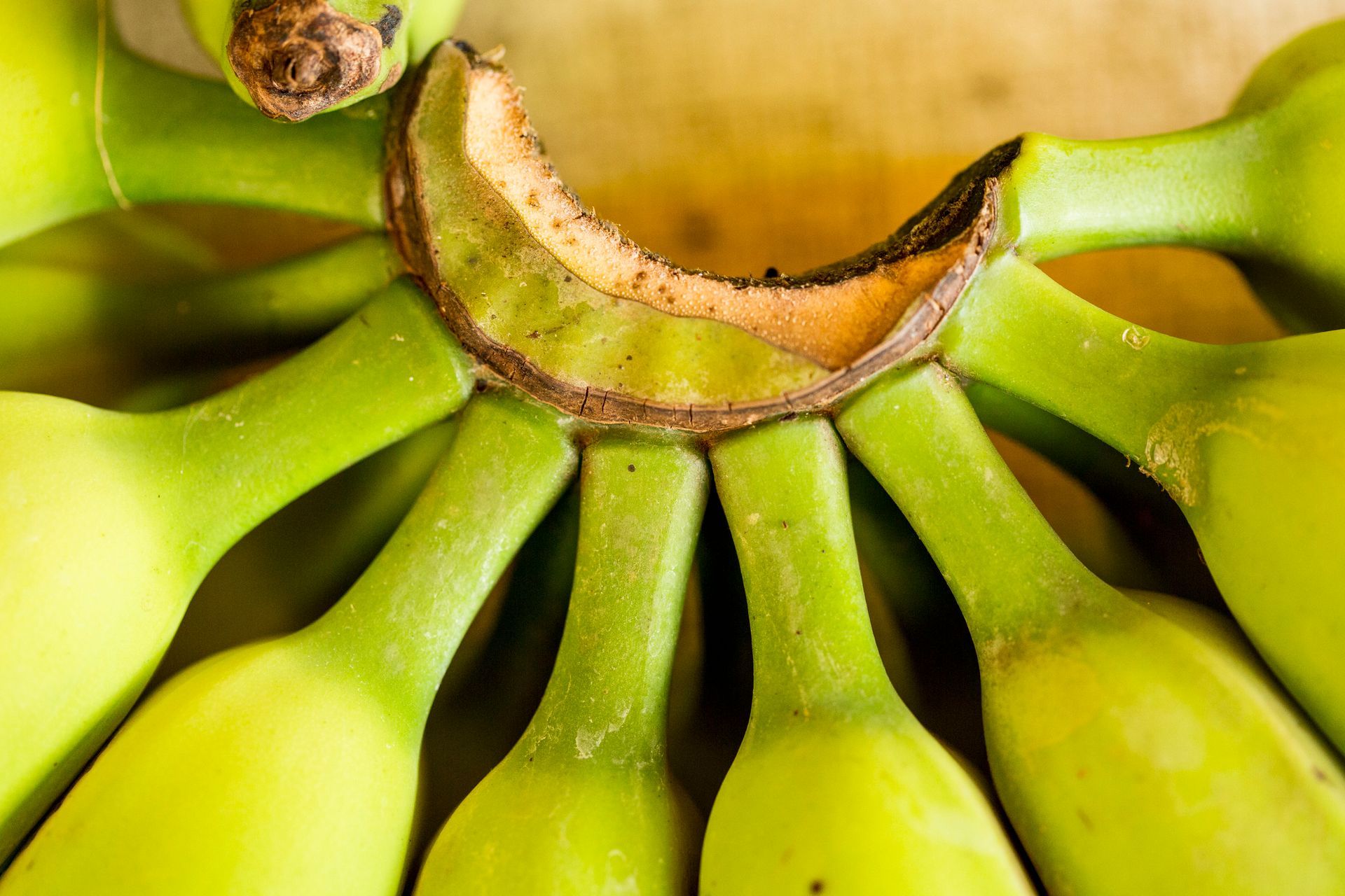 Fotografia autoral de feira livre em São Paulo — detalhe de banana