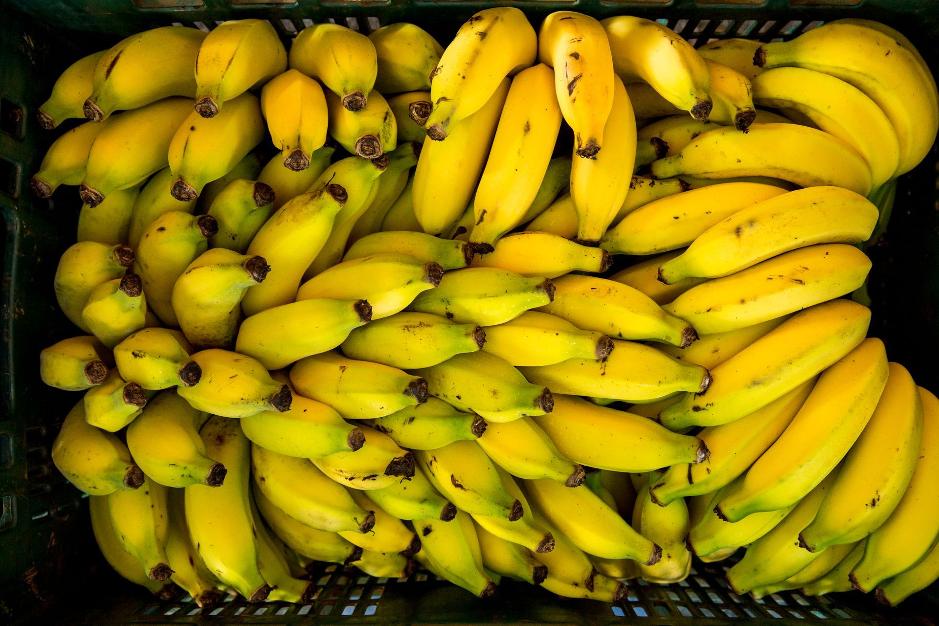 Fotografia autoral de feira livre em São Paulo — detalhe de banana
