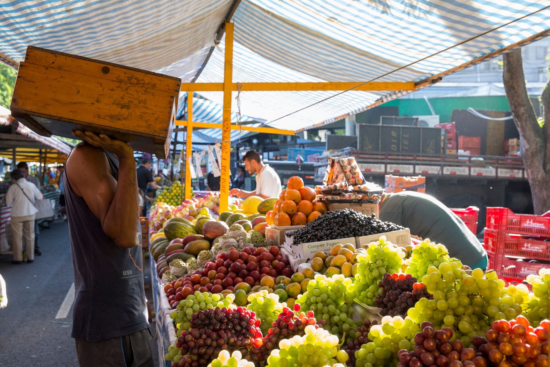 Fotografia autoral de feira livre em São Paulo — detalhe de uvas