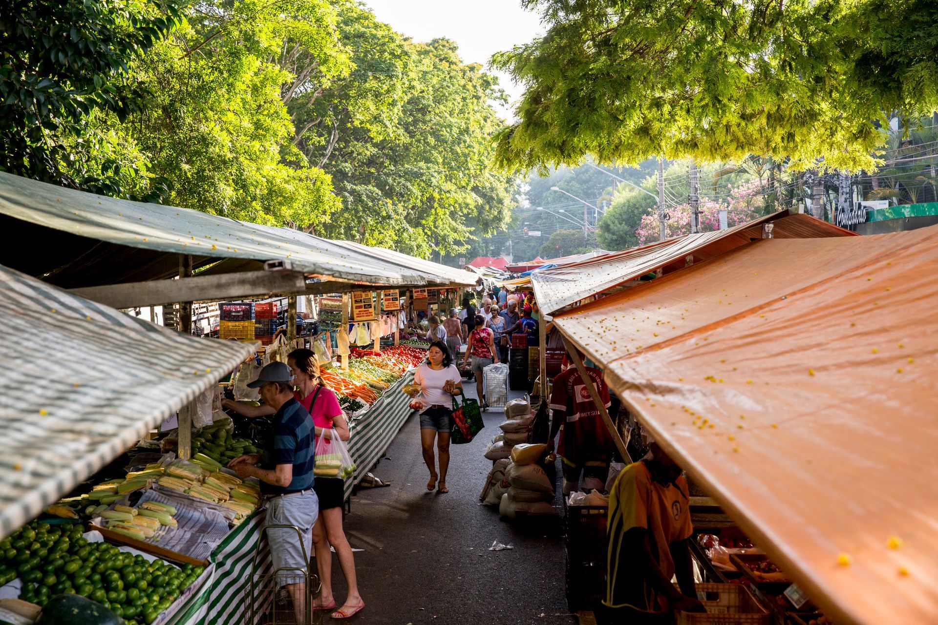 Fotografia autoral de feira livre em São Paulo — detalhe de barraca colorida