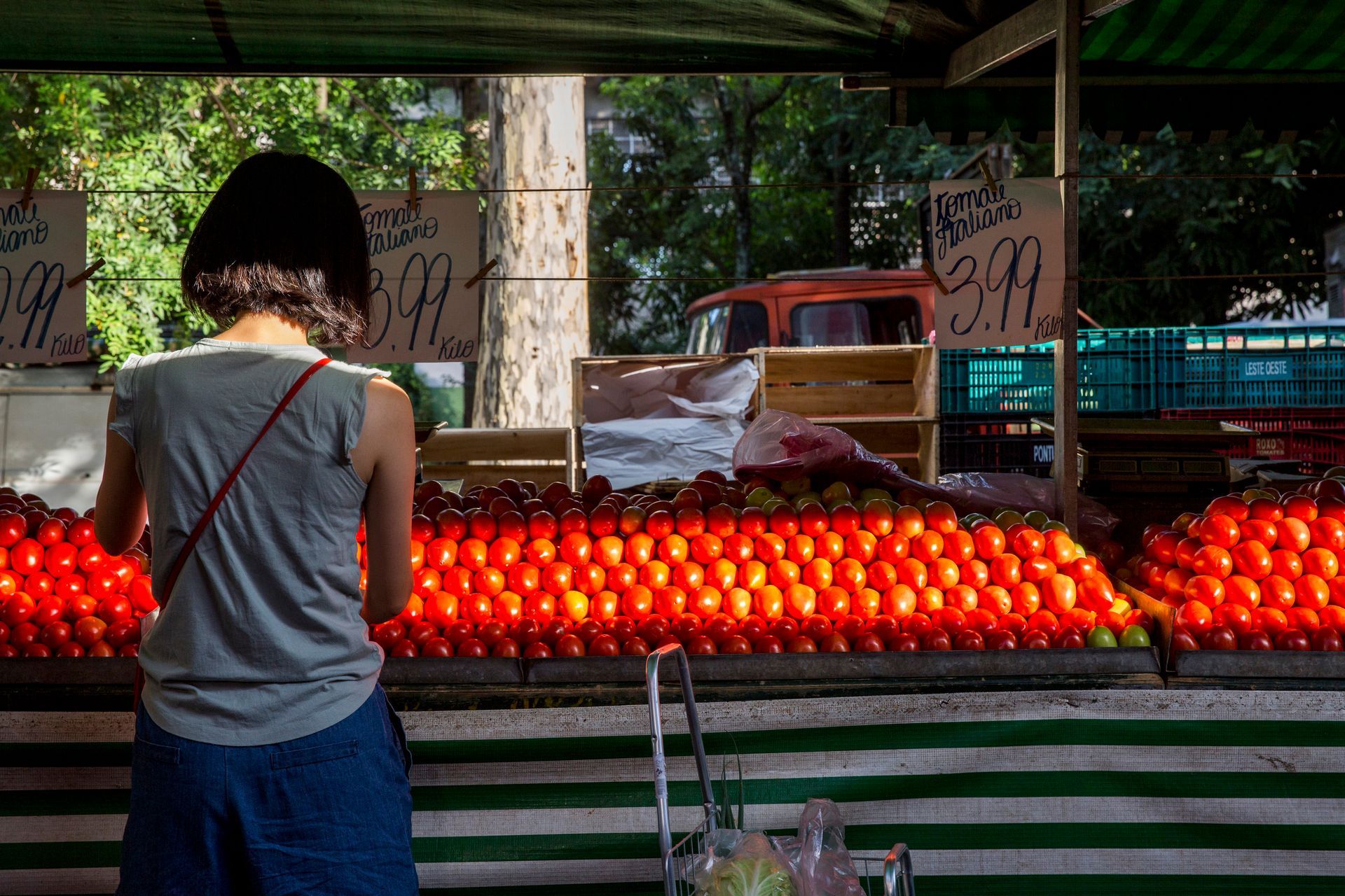 Fotografia autoral de feira livre em São Paulo — detalhe de barraca tomare