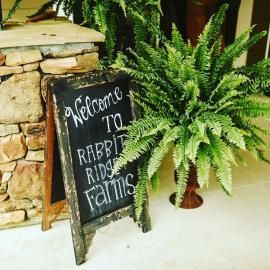 Welcome sign beside a lush fern and stone wall at Ribbit Farms