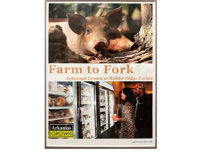 Farm-to-fork poster showing a pig and a woman picking food from a grocery freezer, with Arkansas branding