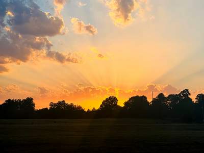 Sunset over a dark tree line, with orange clouds and sun rays across the sky