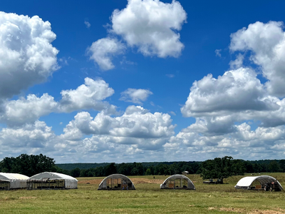 Open field with white tents under a bright blue sky and scattered clouds
