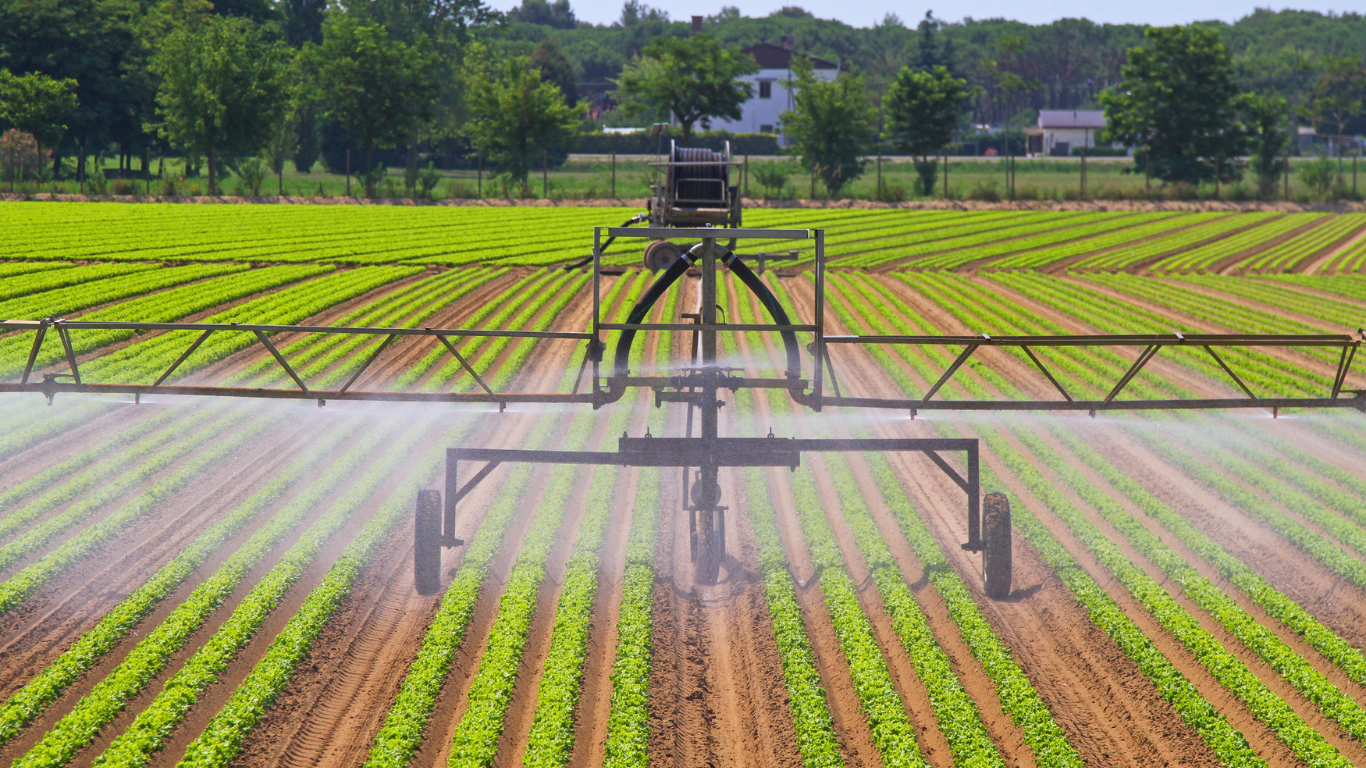 Irrigation system spraying water on rows of crops in a sunny field.