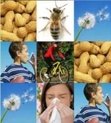 Stop Allergy - skin allergies in Framingham, MA