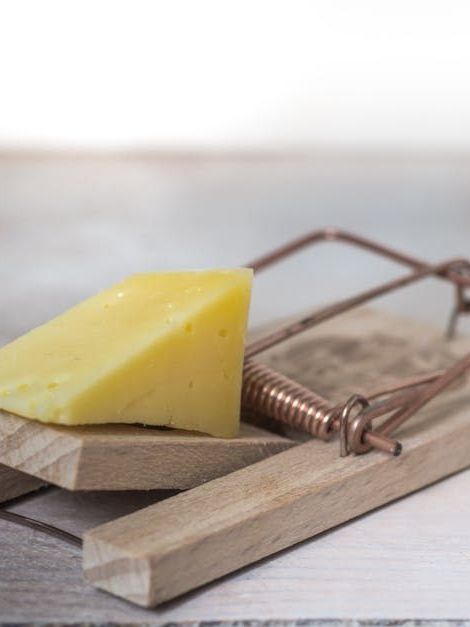 A piece of cheese is sitting on top of a wooden mousetrap.