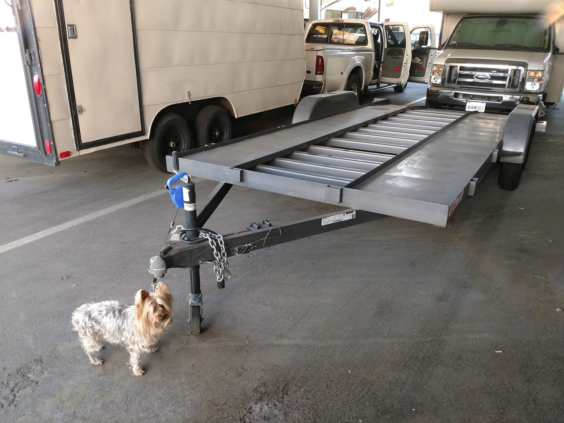 Front Left View Flatbed With Dog