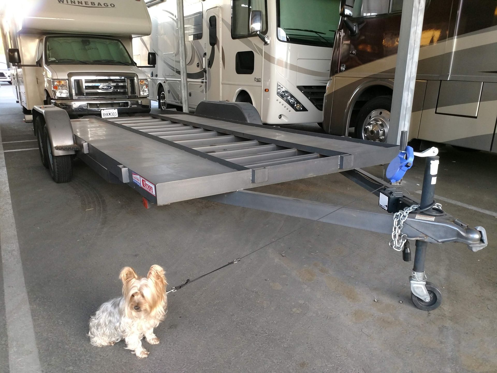 Front Right View Flatbed With Dog Closeup