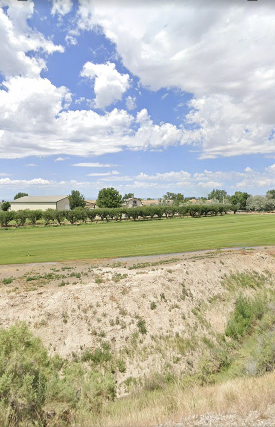 A large grassy field with trees in the background and a blue sky with clouds.