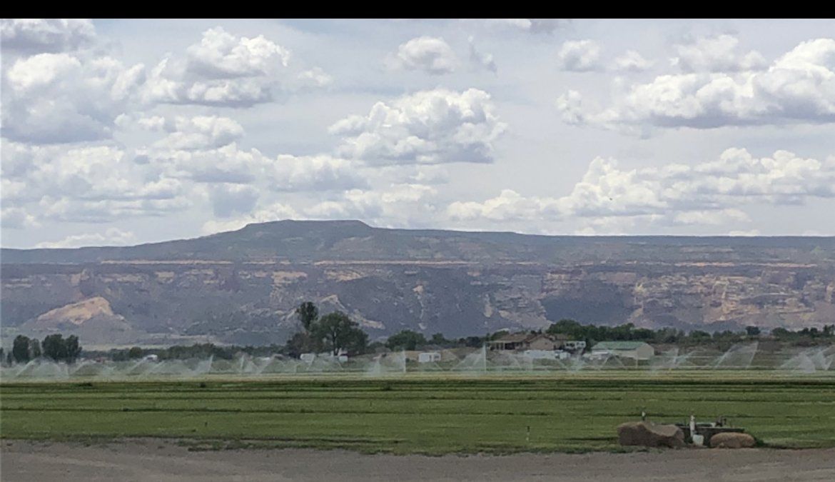 A field with a mountain in the background and a sprinkler in the foreground.