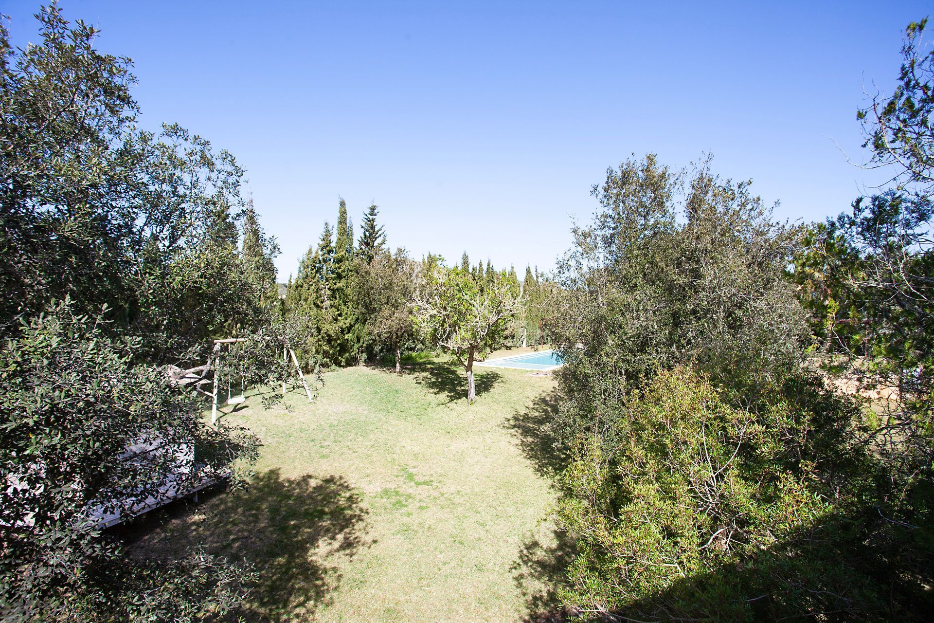 Un exuberante campo verde con árboles y una piscina al fondo.
