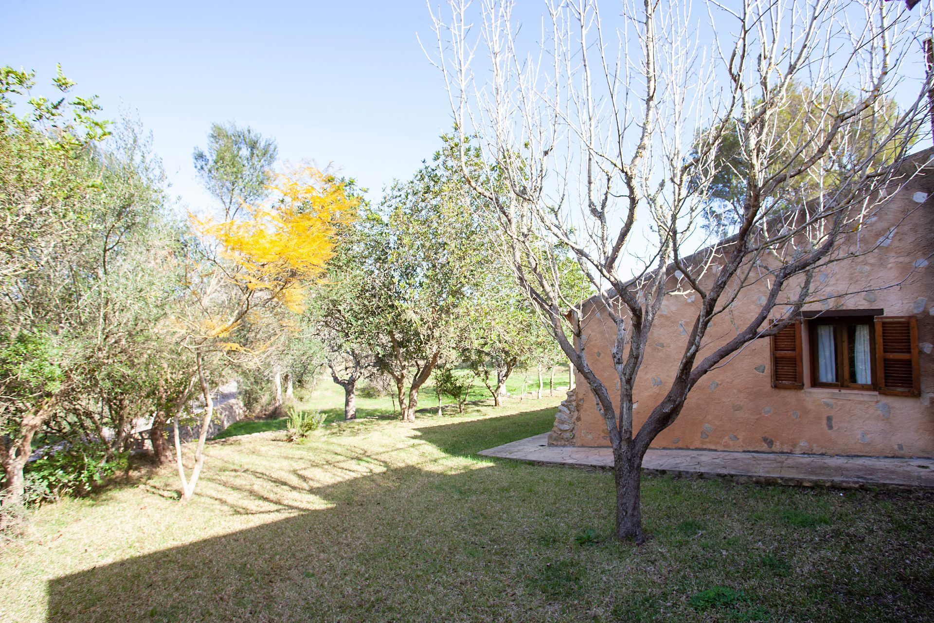 Ein Backsteinhaus mit einem Baum davor