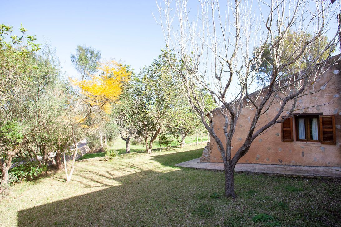 Una casa con un árbol delante y árboles al fondo.