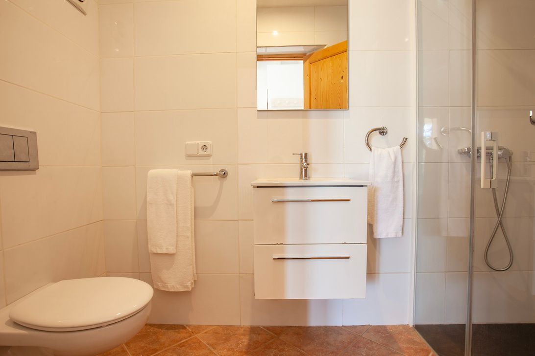 Un baño con inodoro, lavabo y ducha.