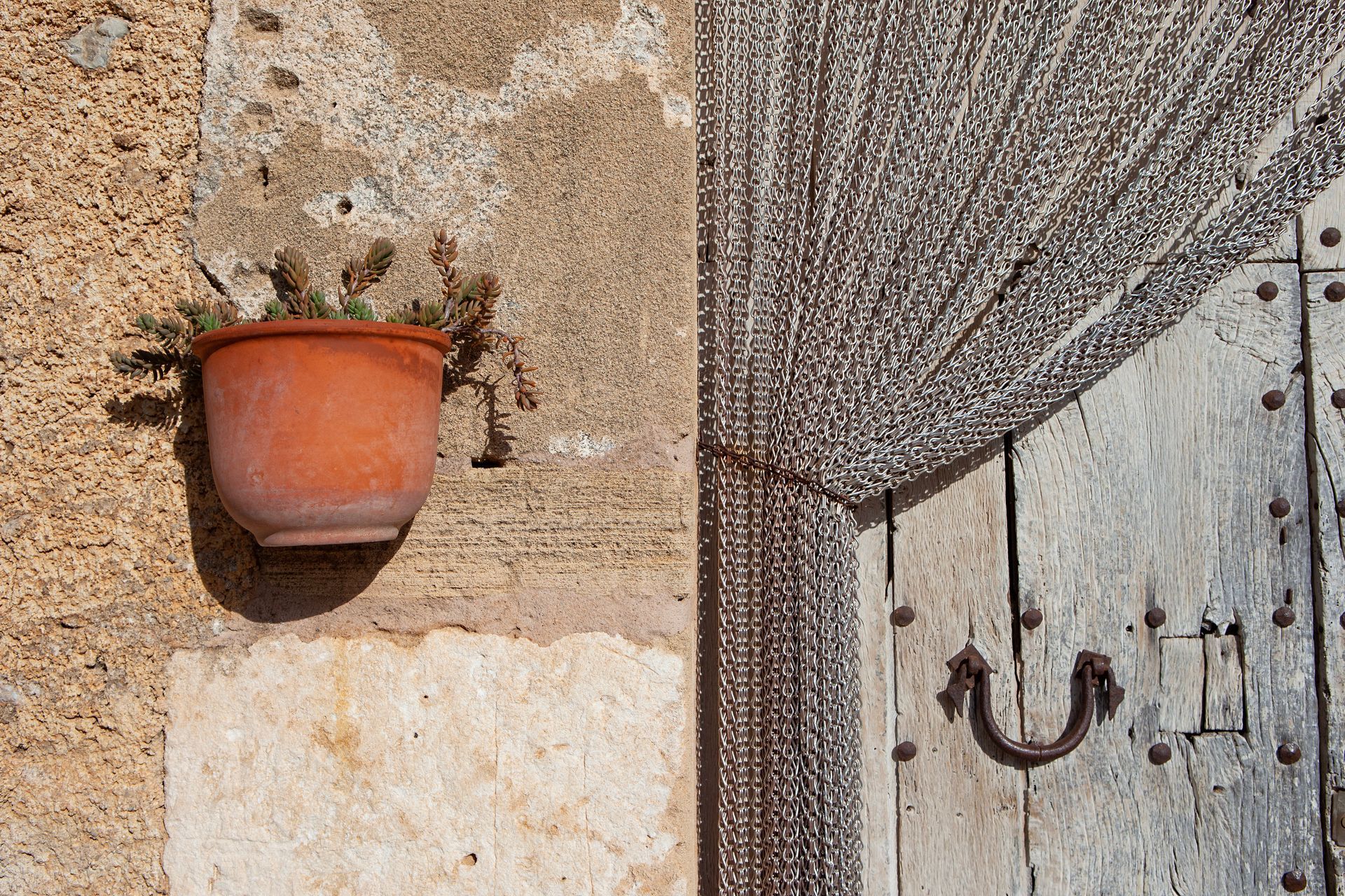 Una planta en maceta está colgada en una pared al lado de una puerta de madera.