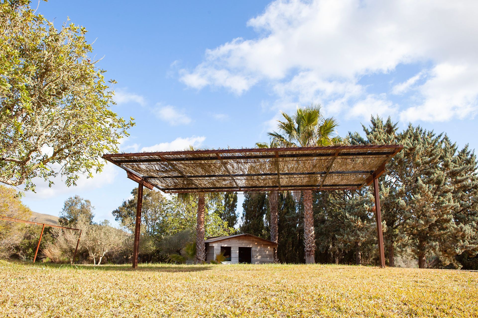 Una pérgola se encuentra en medio de un exuberante campo verde.