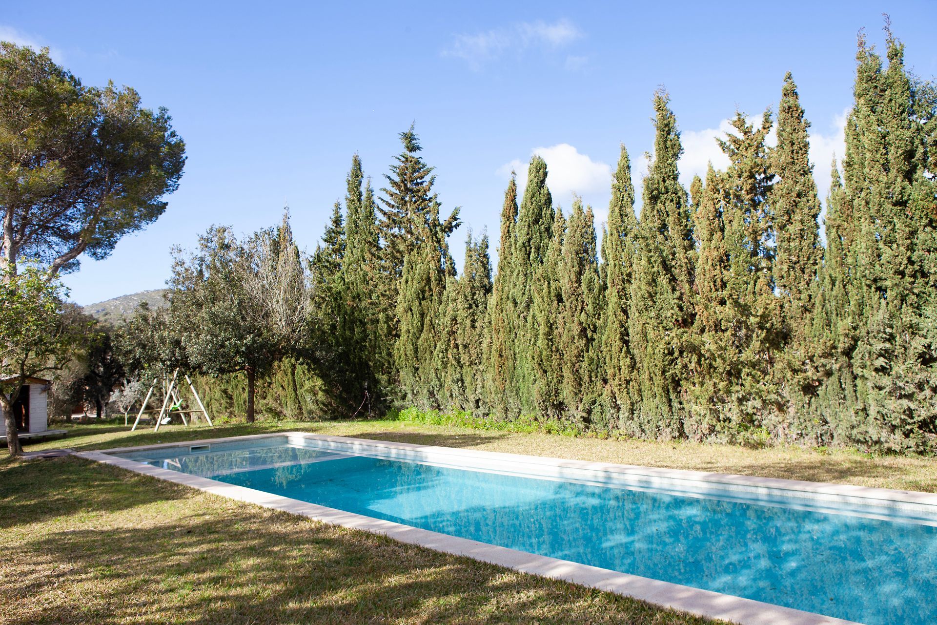 Una gran piscina rodeada de árboles en un día soleado.