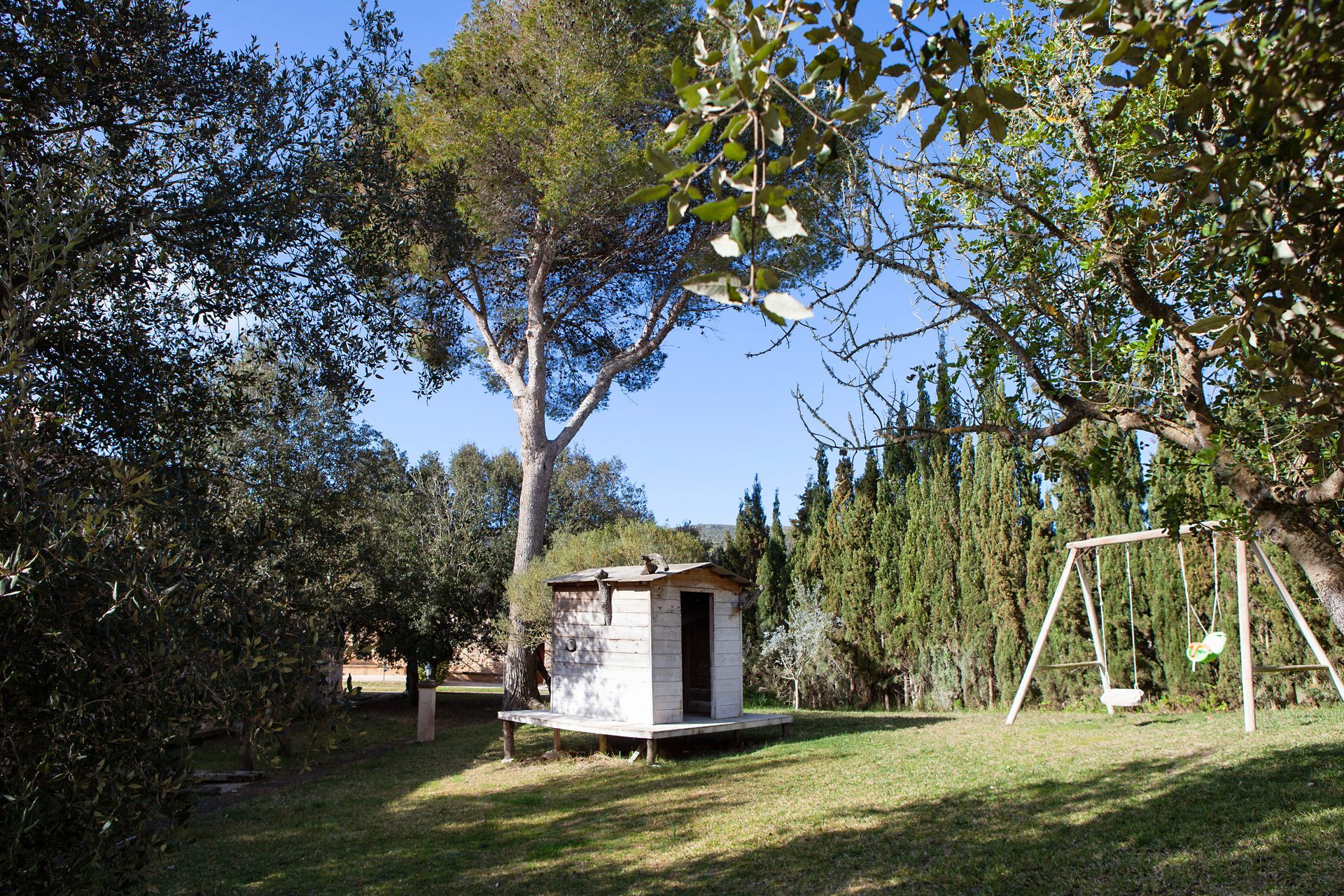 Un cobertizo está situado en medio de un exuberante campo verde rodeado de árboles.