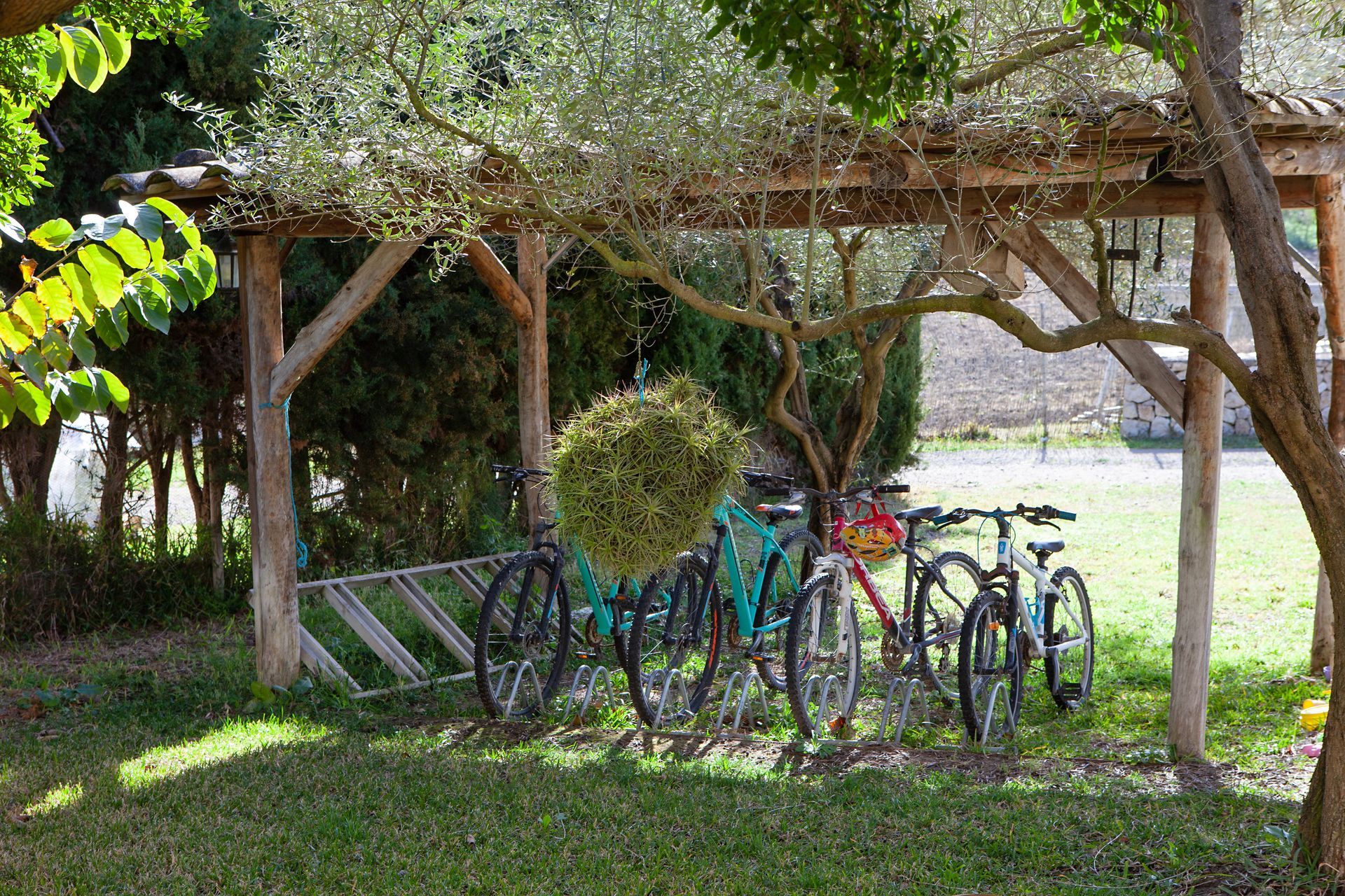 Una fila de bicicletas están estacionadas debajo de una estructura de madera.