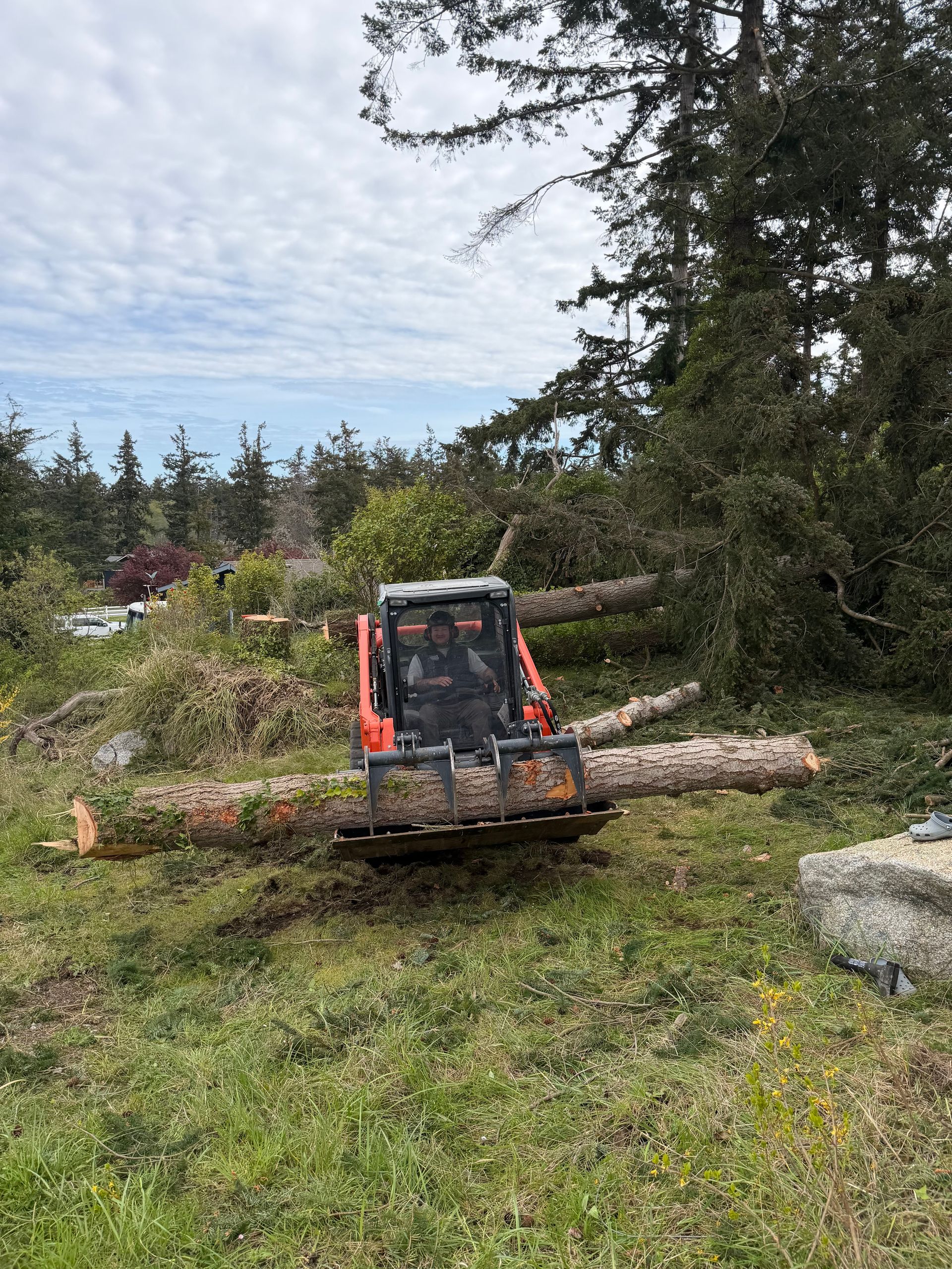 Freshly cut logs scattered in a yard beside a yellow wood chipper and a house in the woods