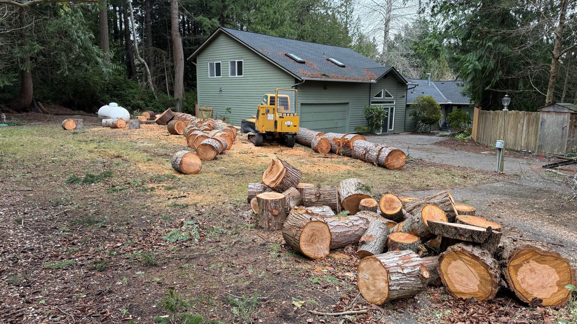 Cut logs scattered across a yard beside a small green house and yellow wood chipper
