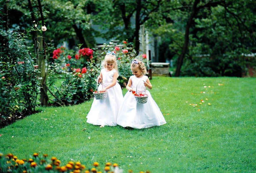 Adorable Flower Girls Adding Charm to the Moment — Celebrant in Hallidays Point, NSW
