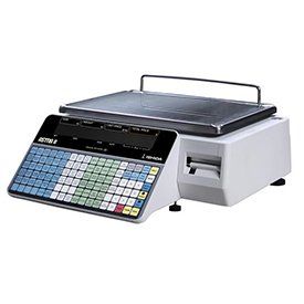 rice lake ishida astra ii scale