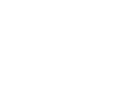 wh scale company logo