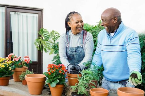 Couple gardening, smiling. Pots of flowers on wall.