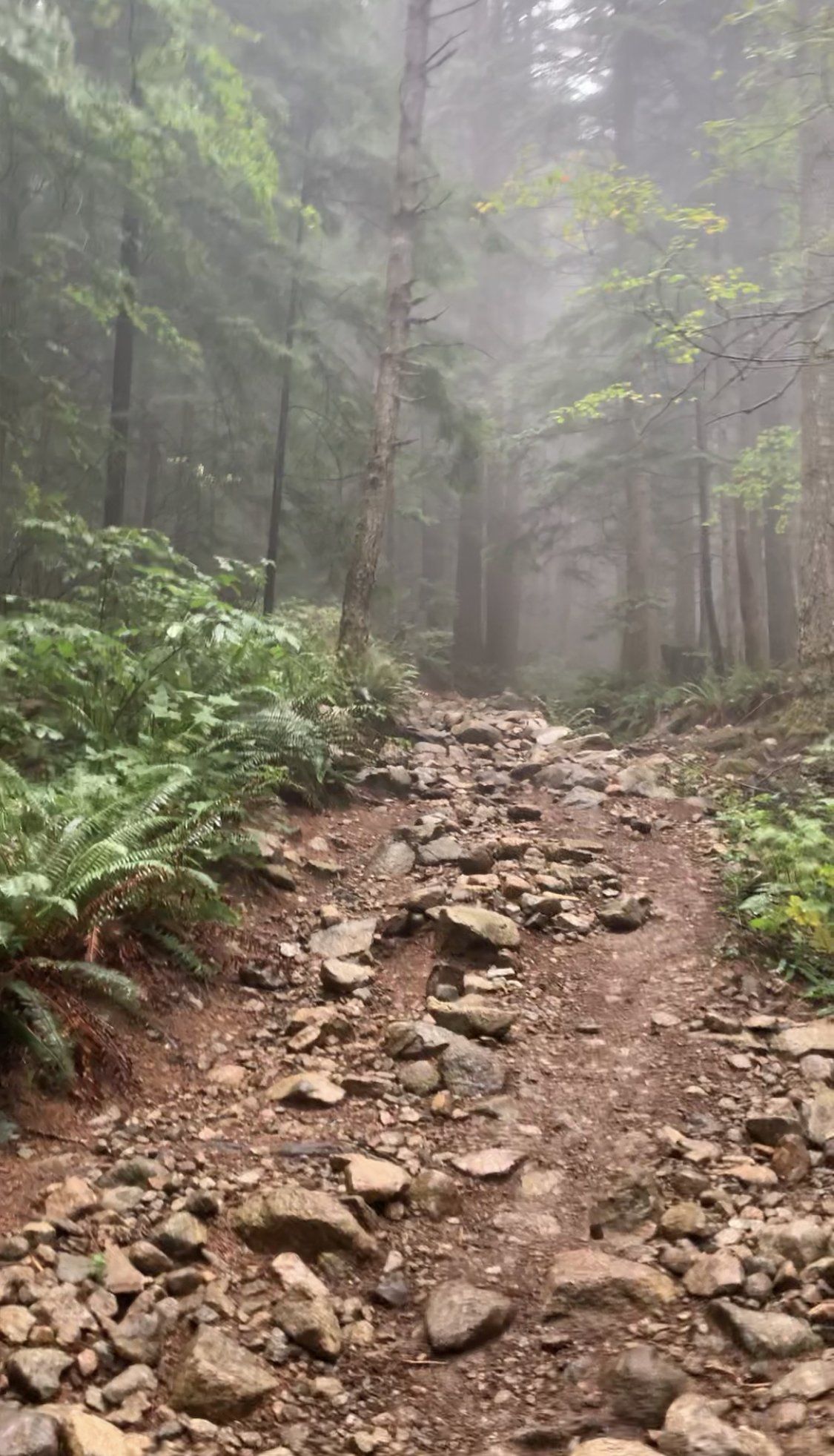 Foggy and rocky trail at Golden Ears Provincial Park, BC, Canada