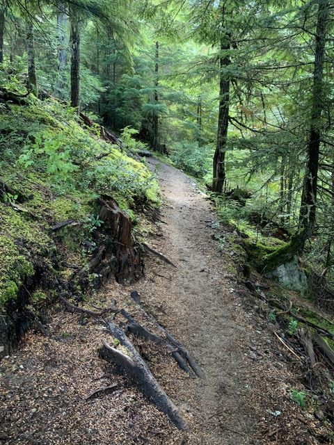 Wedgemount lake trail