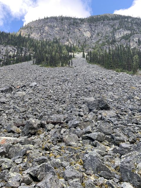 Wedgemount lake trail boulder field