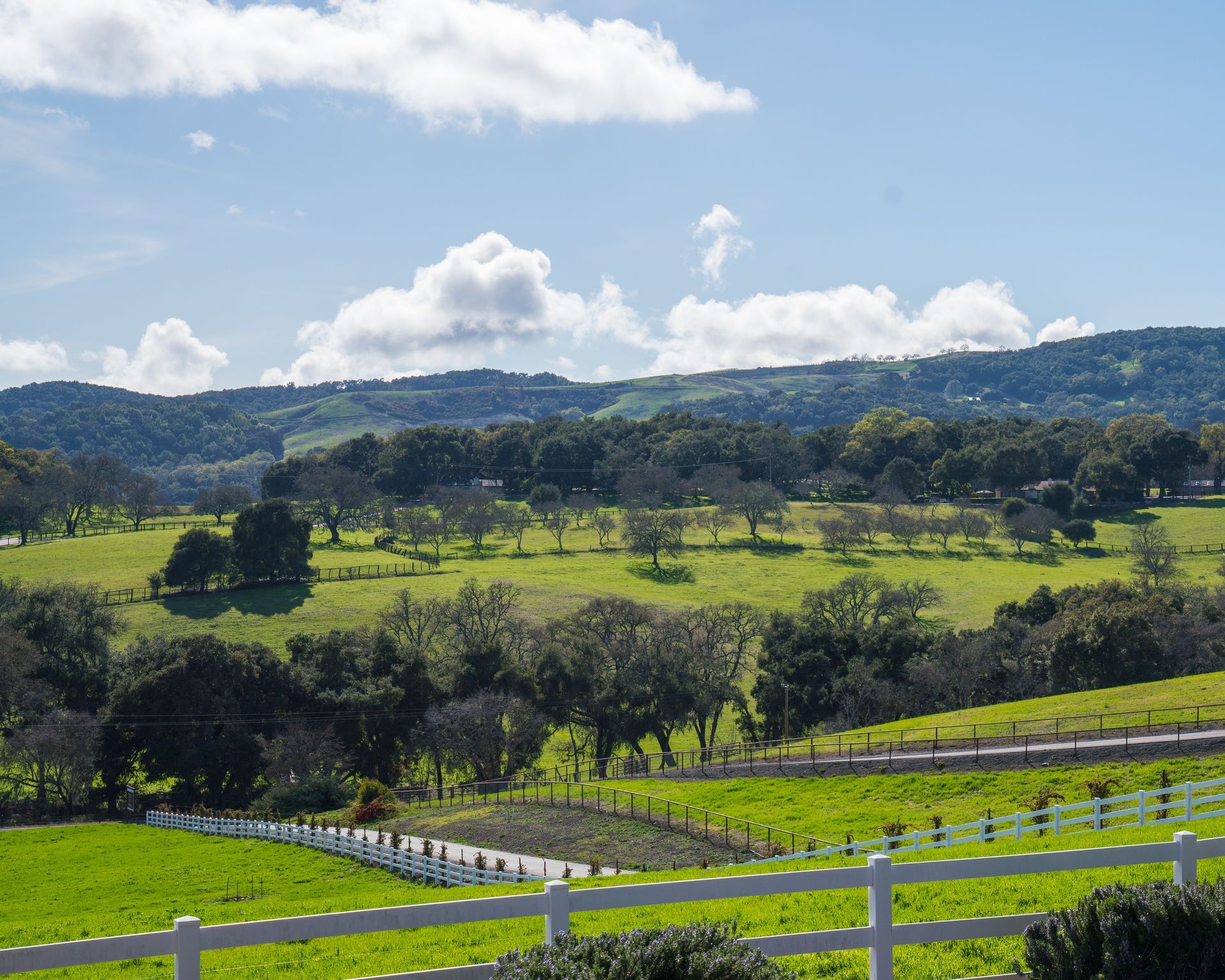 A white fence surrounds a lush green field