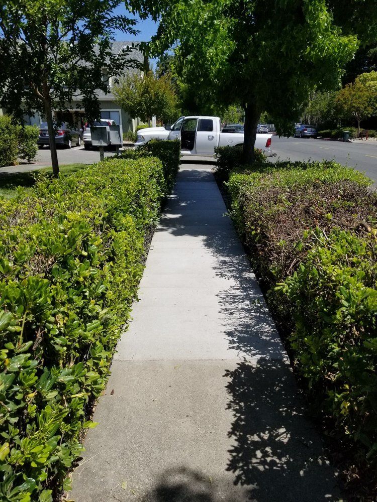Pathway with Garden — Petaluma, CA — West Coast Construction